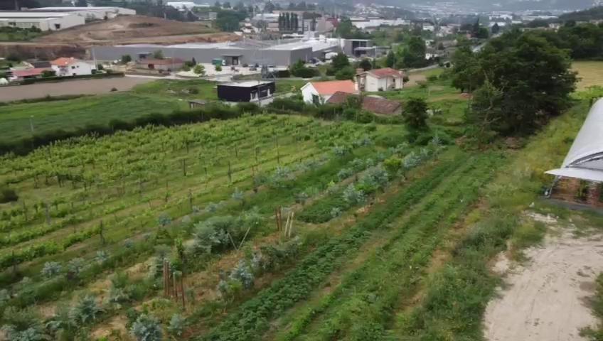 Quinta Do Pinheiro Villa Guimarães Eksteriør bilde